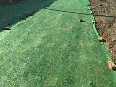 盖土网 - 河北省安平县东山网业有限公司图片1